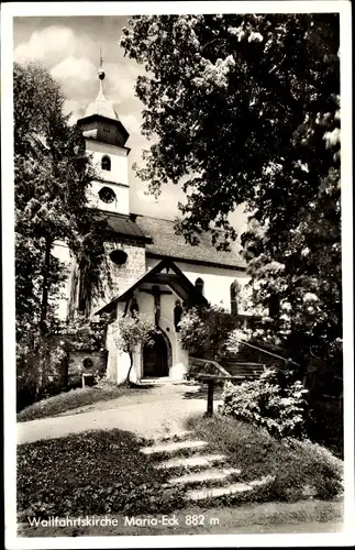 Ak Siegsdorf in Oberbayern, Kloster Maria Eck, Wallfahrtskirche