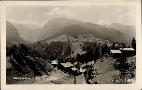 Ak Birnbaum Kärnten, Gesamtansicht, Wolayertal