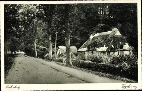 Ak Ascheberg in Holstein, Vogelsang, Haus mit Reetdach