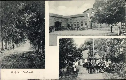 Ak Lindewitt in Schleswig Holstein, Gutshaus, Kutsche, Allee