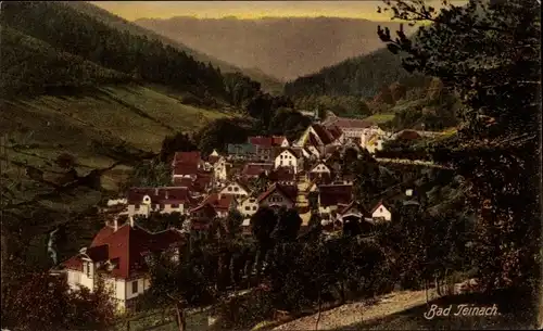 Ak Bad Teinach Zavelstein im Schwarzwald, Panorama