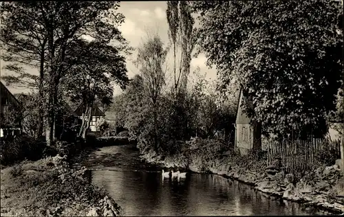 Ak Pockau im Erzgebirge Sachsen, Flusspartie, Häuser