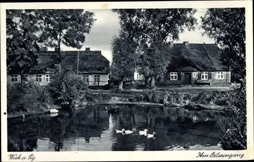 Ak Wiek auf der Insel Rügen, Am Ortseingang, Teichpartie