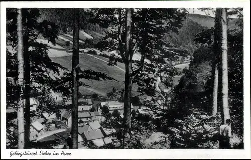 Ak Sieber Herzberg am Harz, Gesamtansicht