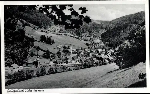 Ak Sieber Herzberg am Harz, Gesamtansicht