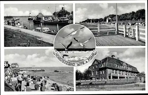 Ak Wyk auf Föhr, Strandpartie, Möwen