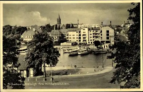 Ak Silkeborg Dänemark, Udsigt fra Kildebakken