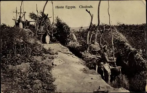 Ak Ägypten, Haute Egypte, Chadoufs