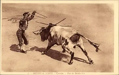 Ak Arenes de Nimes, Corrida, Pose de Banderilles