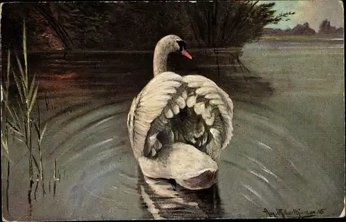 Künstler Ak Müller, August, Schwan auf dem Wasser