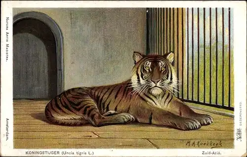 Künstler Ak Koekkoek, M. A., Koningstijger, Uncia tigris L., Königstiger