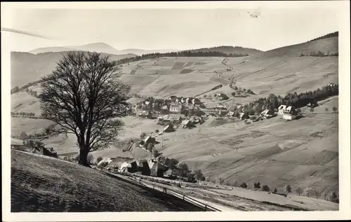 Ak Todtnauberg Todtnau im Schwarzwald, Panorama