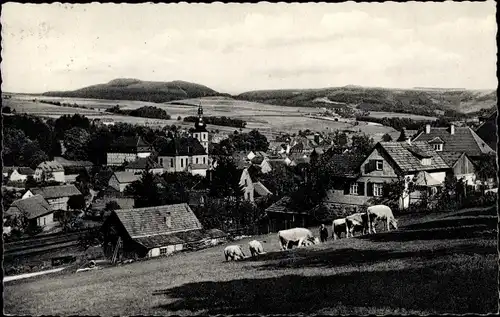 Ak Gersfeld in der Rhön Hessen, Gesamtansicht, Kühe weiden