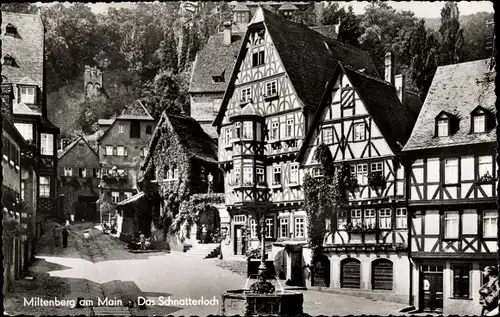 Ak Miltenberg am Main Unterfranken, Das Schnatterloch