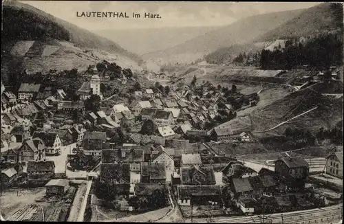 Ak Lautenthal Langelsheim im Oberharz, Totalansicht der Ortschaft