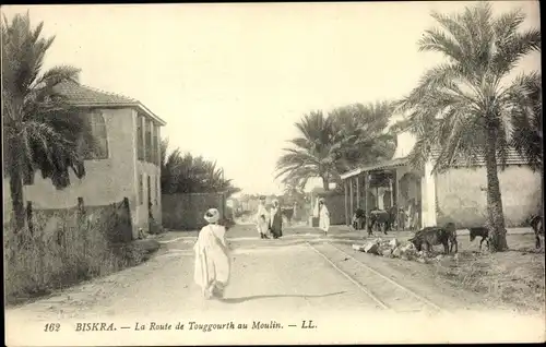 Ak Biskra Algerien, La Route de Touggourth au Moulin