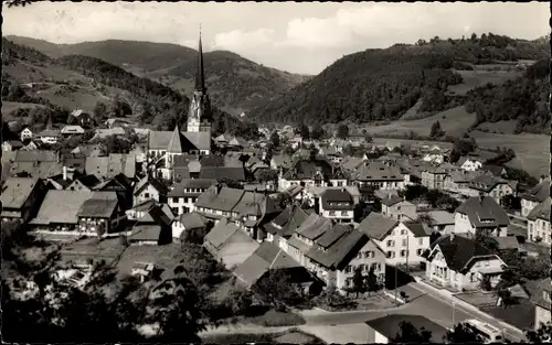 Ak Schönau im Schwarzwald, Panorama