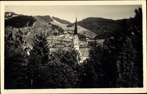 Ak Schönau im Schwarzwald, Blick vom Parksanatorium, Panorama