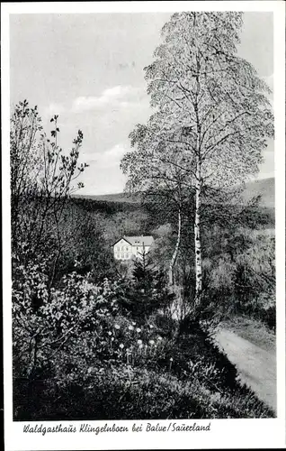 Ak Balve im Sauerland, Waldgaststätte Klingelnborn