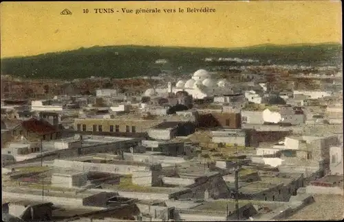 Künstler Ak Tunis Tunesien, Vue générale vers le Belvédére