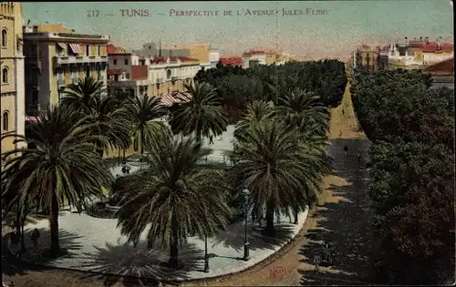 Ak Tunis Tunesien, Perspective de L'Avenue Jules Ferry