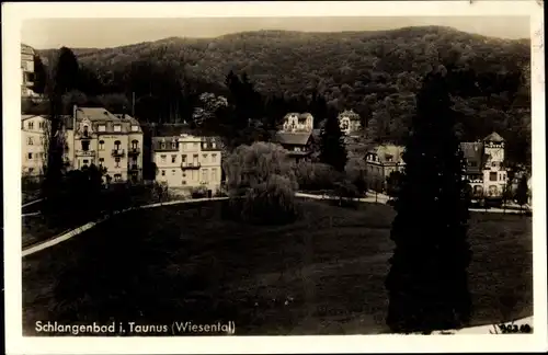 Ak Schlangenbad im Taunus Hessen, Wiesental, Panorama