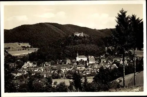 Ak Leutenberg in Thüringen, Gesamtansicht, Burg