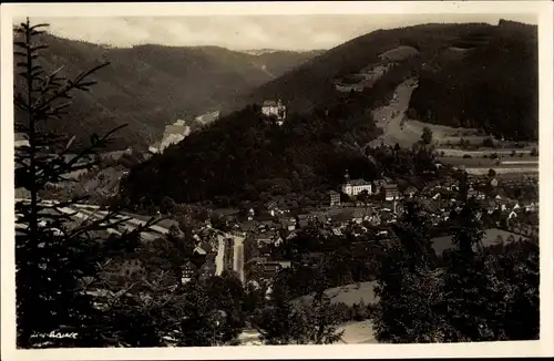 Foto Ak Leutenberg in Thüringen, von der Wandslebshütte gesehen