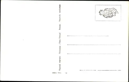Ak Bozen Bolzano Südtirol, Walterplatz