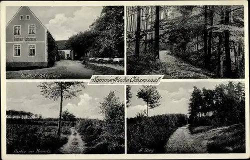 Ak Ochsensaal Dahlen in Sachsen, Gasthof Ochsensaal, Quellental, Partie im Heinitz