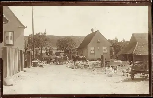 Foto Ak Görsdorf Emstadt Schalkau in Thüringen, Dorfpartie, Rinder, Gänse