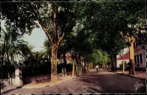 Ak Djidjelli Jijel Algerien, La Ponte et entree de la Commune mixte