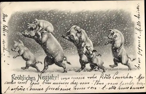 Litho Glückwunsch Neujahr, Schweine, Schneefall