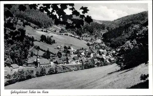 Ak Sieber Herzberg am Harz, Gesamtansicht