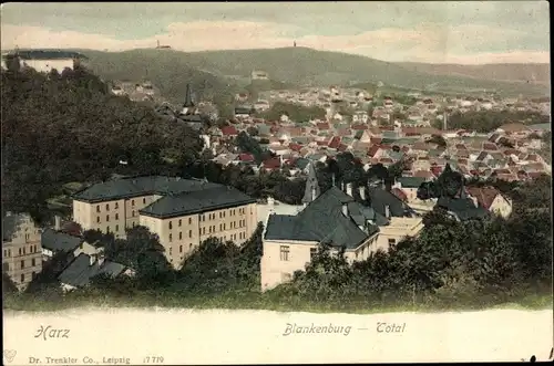 Ak Blankenburg am Harz, Gesamtansicht