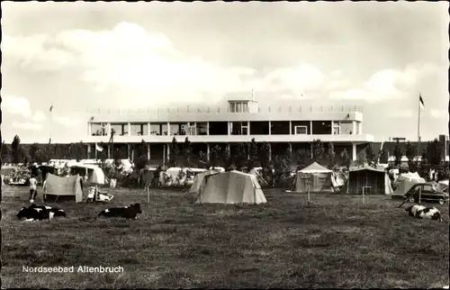 Ak Nordseebad Altenbruch Cuxhaven, Campingplatz, Kühe