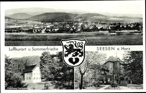 Ak Seesen am Harz, Gesamtansicht, Forsthaus Neckelnberg, Burg Schusa, Amtsgericht, Wappen