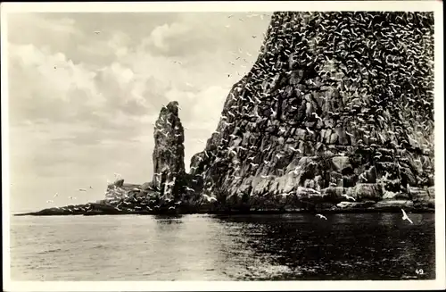 Ak Norwegen, Blick auf einen Vogelberg am Meer, Felsen, Nordkap