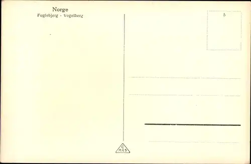 Ak Norwegen, Blick auf einen Vogelberg am Meer, Felsen, Nordkap