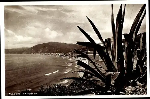 Ak Alassio Liguria, Panorama