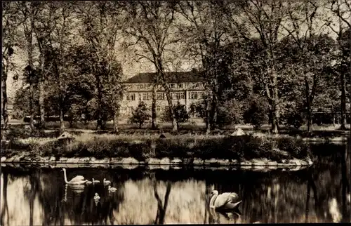 Ak Freudental in Württemberg, Schloss Freudental, Blick über den See mit Schwänen, Parkanlage