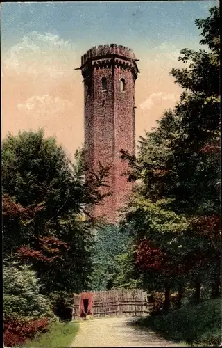 Ak Heidelberg am Neckar, Königstuhl