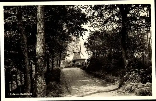 Ak Lindau Mühlenholz Boren in Angeln Schleswig Holstein, Windmühle Lindaumühlenholz