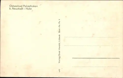 Ak Pelzerhaken Neustadt in Holstein, Camping, Teilansicht