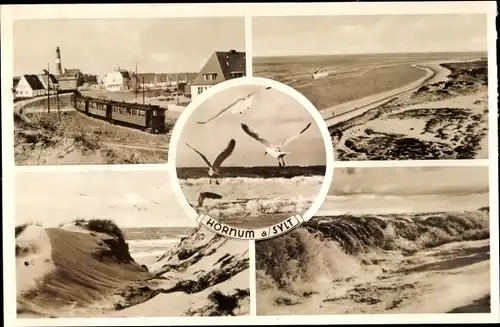 Ak Hörnum auf Sylt Nordfriesland, Strand, Dünen, Möwen, Ort, Leuchtturm