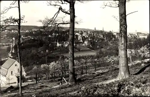 Ak Eisenberg in Thüringen, Gesamtansicht, Blick von der Etzdorfer Höhe