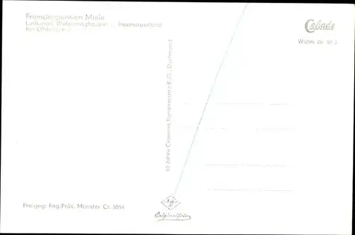 Ak Wulmeringhausen Olsberg im Sauerland, Luftaufnahme