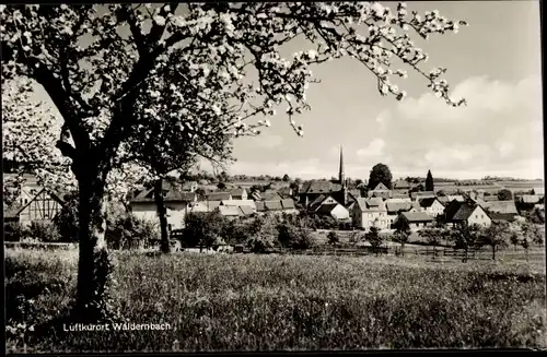 Ak Waldernbach Mengerskirchen in Hessen, Blick auf den Ort