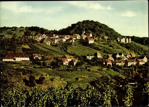 Ak Löwenstein in Württemberg, Panorama