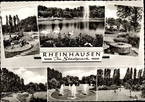 Ak Rheinhausen Duisburg im Ruhrgebiet, Stadtpark, Flamingos, Springbrunnen, Minigolfanlage